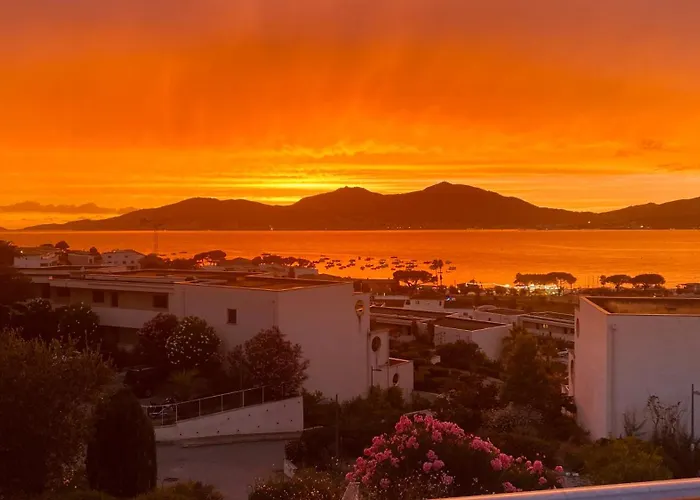 Vue Magnifique Sur Baie Ajaccio アパート *